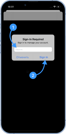You will be prompted to enter your account password - enter it.