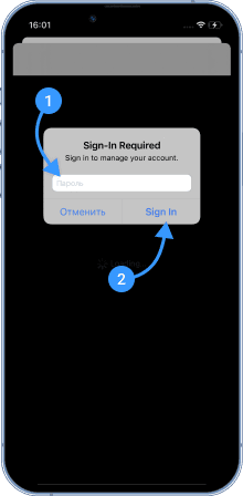 You will be prompted to enter your account password - enter it.